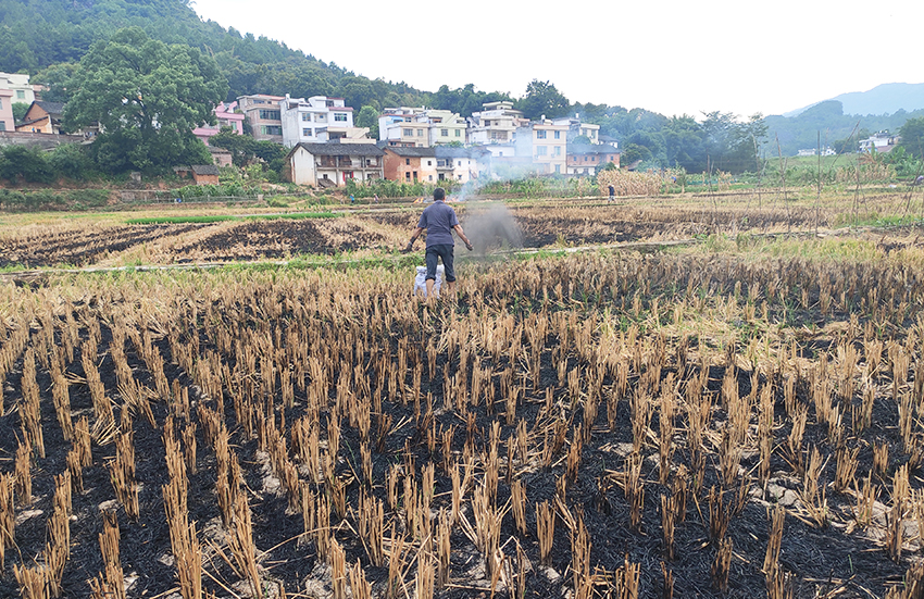 土壤調理劑撒施 土壤調理劑撒施