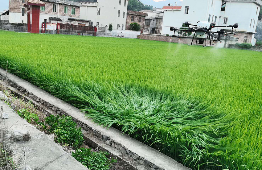 無人機葉面阻控劑噴施 無人機葉面阻控劑噴施